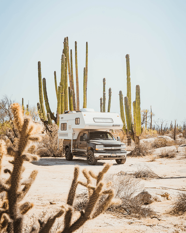 A real tiny house on wheels - @on.vagabonde 03/2023 A Chevrolet truck camper with a Lance camper shell named Jeff is parked in a desert landscape surrounded by towering cardón cacti in Baja California, Mexico, captured by on.vagabonde during their Pan American Highway vanlife journey.