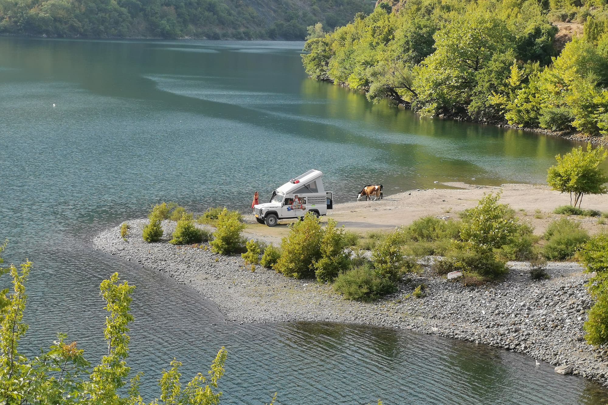 Beautiful wild spots in Albania - @advandortmontduurzaam 04/2025 White Land Rover Defender 110 camper of Ad van Dortmont (@advandortmontduurzaam) parked on a remote lakeshore in Temal, Albania, with a grazing cow nearby. The vehicle's pop-up roof is extended, surrounded by green hills and clear turquoise water, capturing the peaceful spirit of overlanding and vanlife in the Balkans.