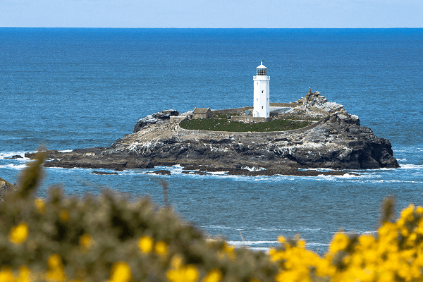 Godrevy Lighthouse near Gwithian Beach - @joshjmcclean 12/2022 Godrevy Lighthouse standing tall on a rocky island off the coast of Cornwall, surrounded by blue sea and waves, with yellow gorse flowers in the foreground on a sunny day, showcasing the region’s dramatic coastline and maritime heritage.